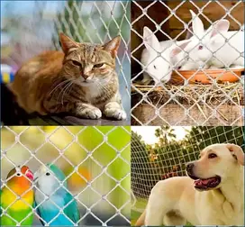 Pets Safety Nets Bangalore