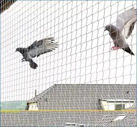 Pigeon Safety Nets Bangalore